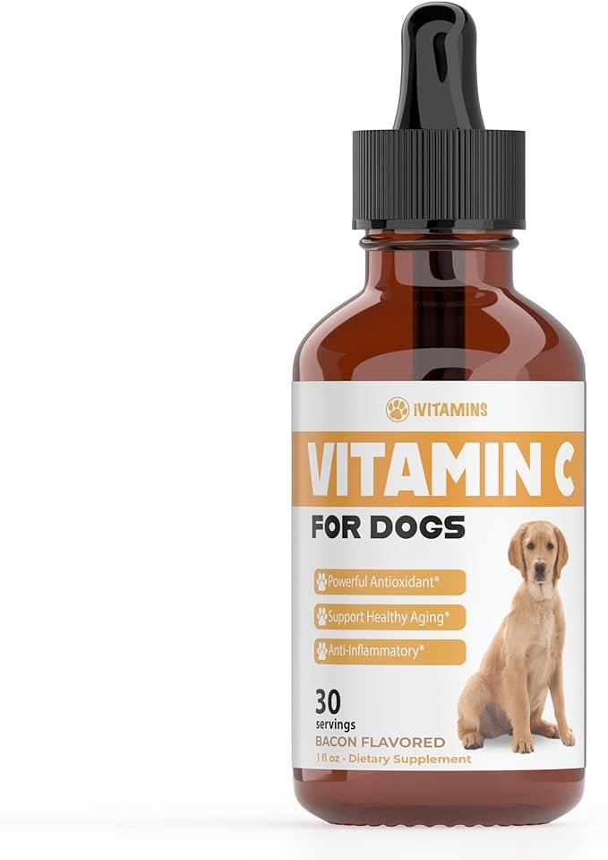 Supplements for Dog Joint