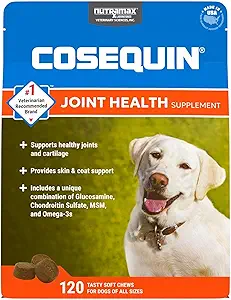 71JRtXjzr2L. AC SX300 SY300 QL70 FMwebp Supplements for Dog Joint