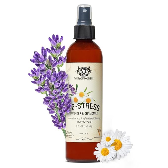 71TbBlUWhyL. SX679 Essential Oils for Dogs