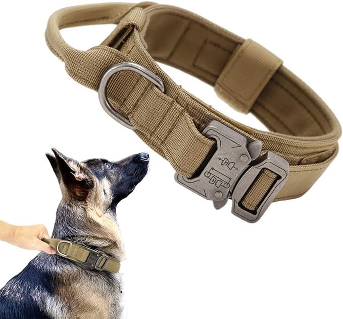 61YKtOb7WUL. AC SX679 Dog Collars