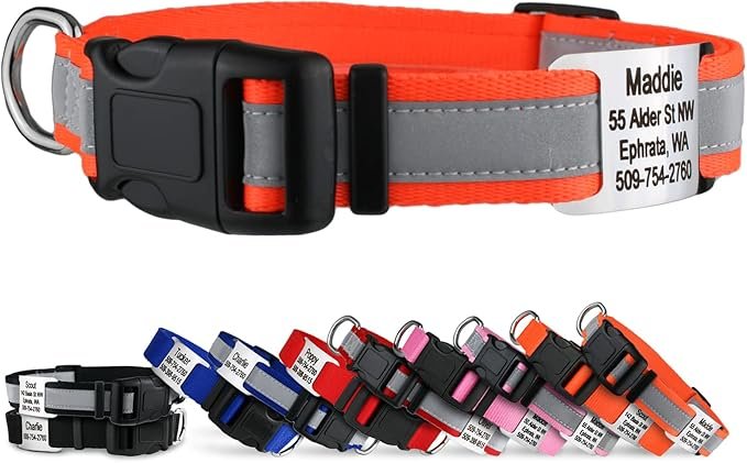 71IJcedyU4L. AC SX679 Dog Collars