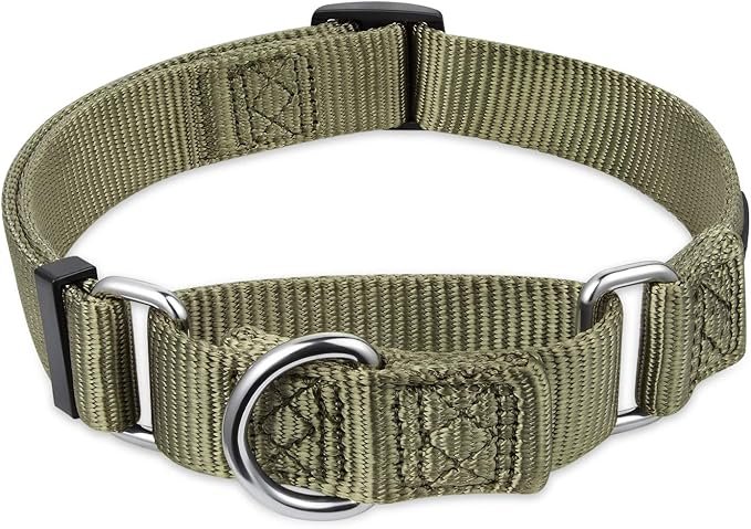 71dL6m6hijL. AC SX679 Dog Collars