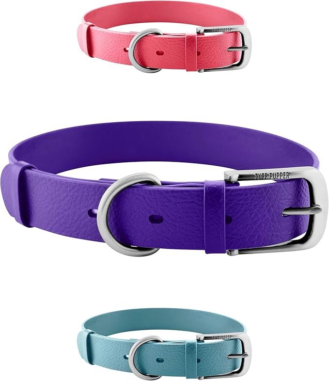 Dog Collars