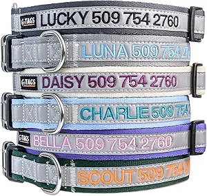 81N5squSOIL. AC SX300 SY300 QL70 FMwebp Dog Collars