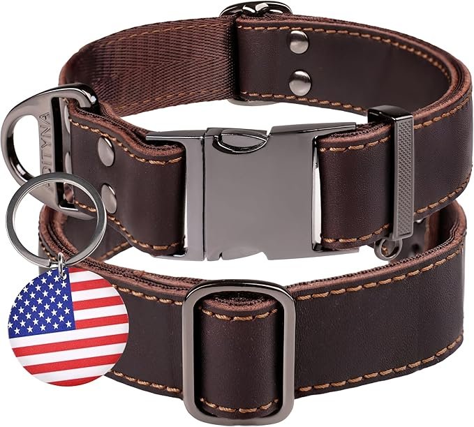 81goTacb6FL. AC SX679 Dog Collars