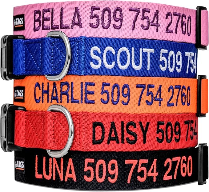 91DsjHr 3pL. AC SX679 Dog Collars